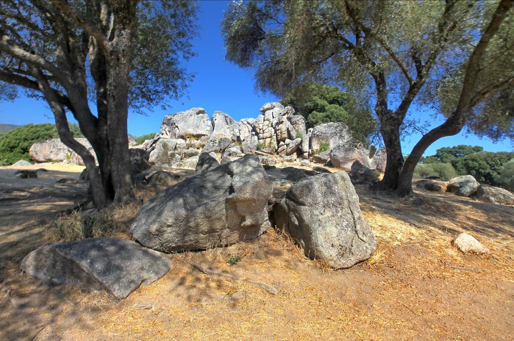 Gite Du Chalet Pietri Olivese Luaran gambar