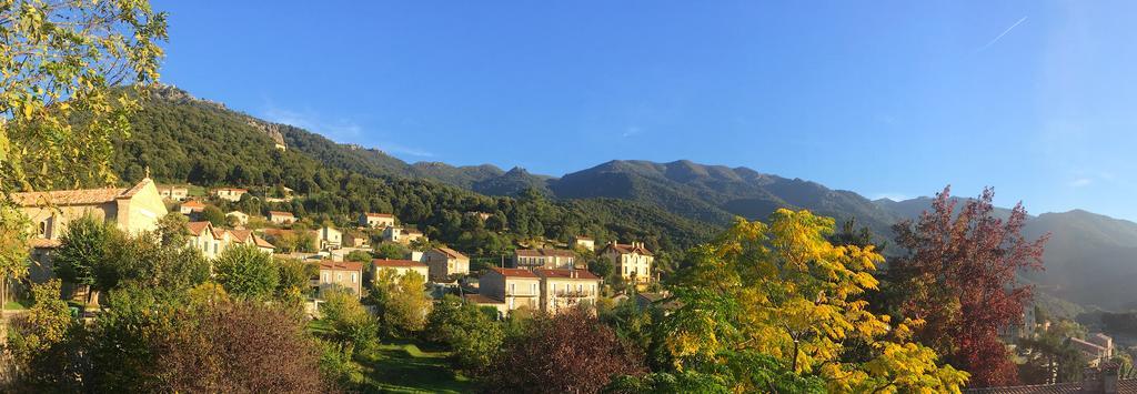 Gite Du Chalet Pietri Olivese Luaran gambar