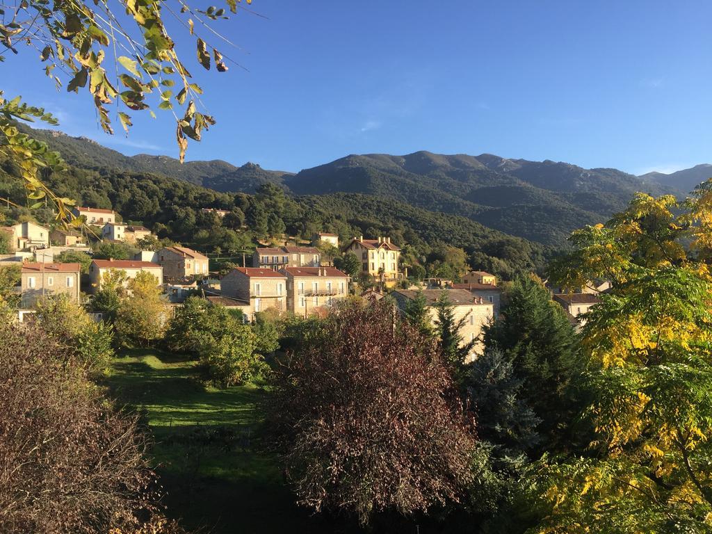 Gite Du Chalet Pietri Olivese Luaran gambar