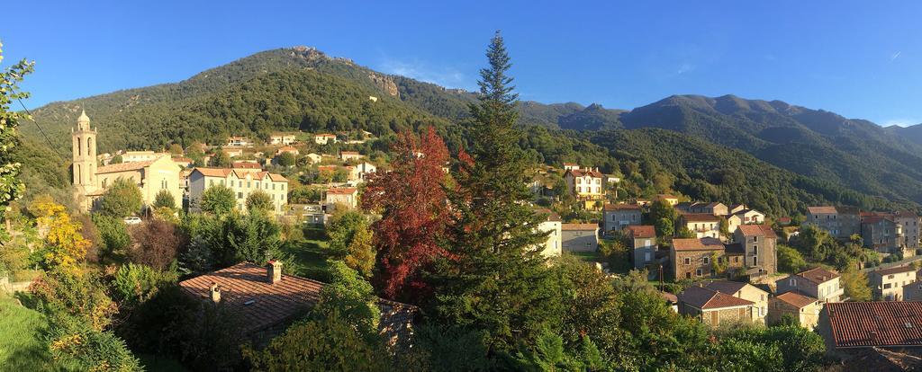 Gite Du Chalet Pietri Olivese Luaran gambar