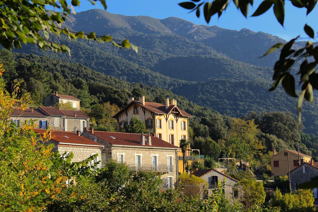 Gite Du Chalet Pietri Olivese Luaran gambar